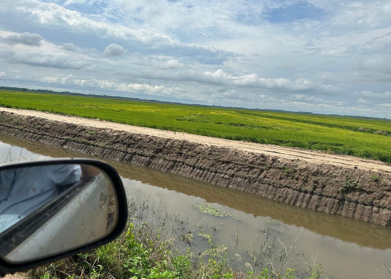 WhatsApp Image 2025-04-22 at 14.37.08