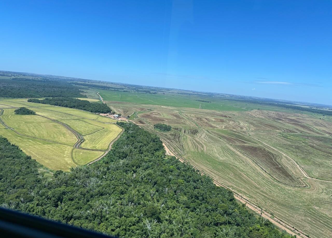 WhatsApp Image 2025-04-22 at 14.37.09