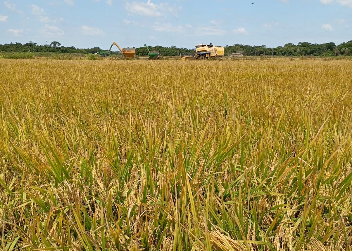 WhatsApp Image 2025-04-22 at 14.37.15