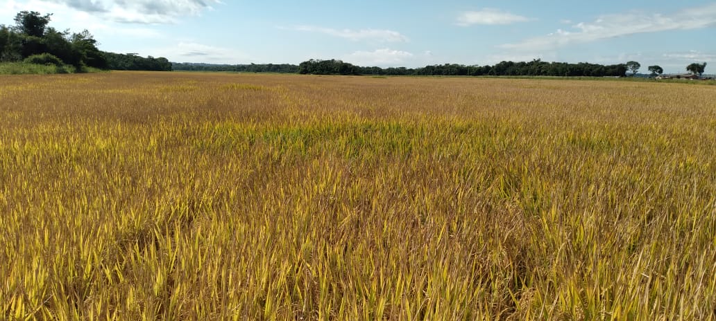 WhatsApp Image 2025-04-22 at 14.37.28